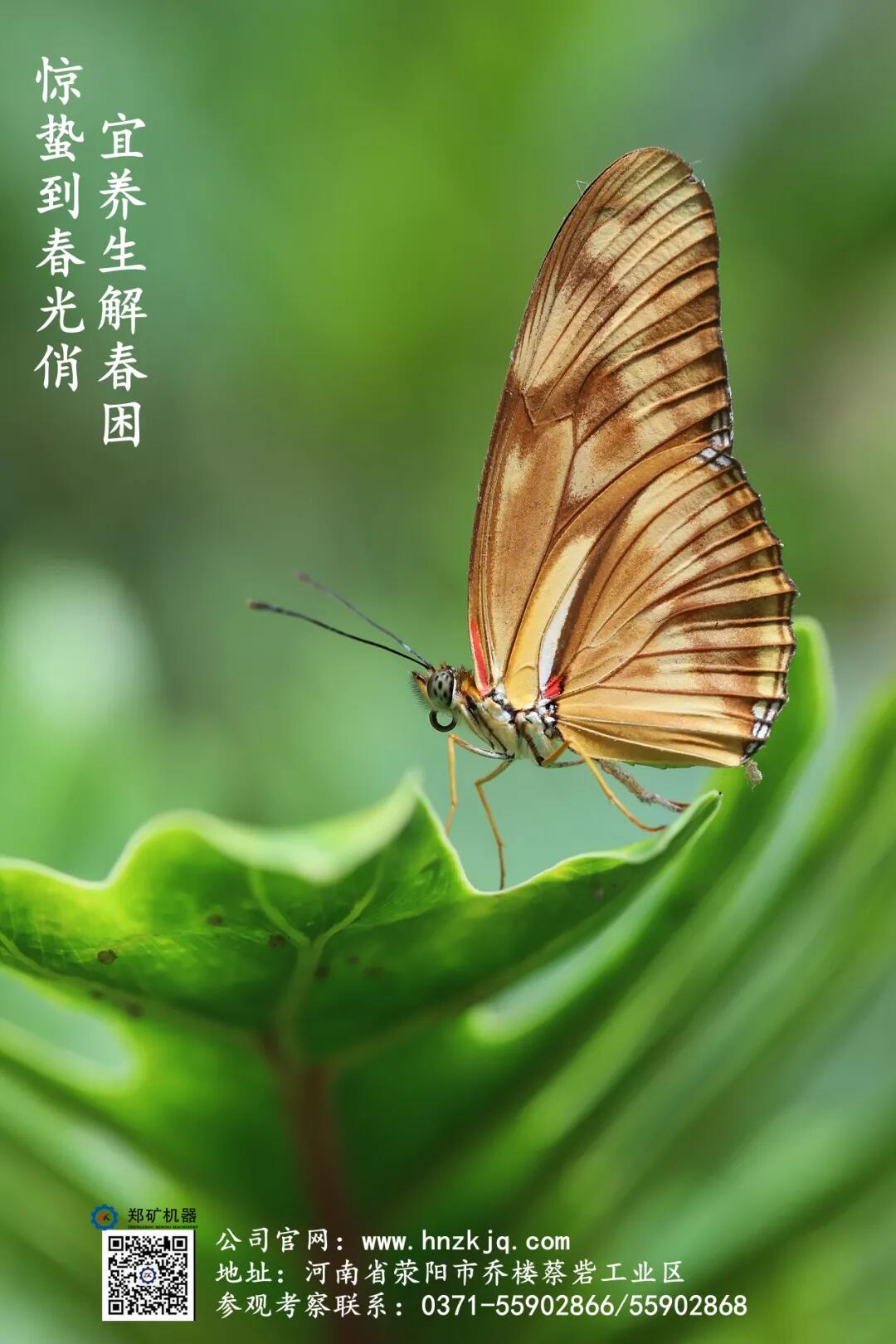 QQͼƬ20210308134642.jpg